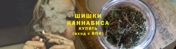 гашик Заводоуковск