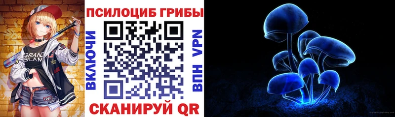 сколько стоит  Петров Вал  Галлюциногенные грибы Cubensis 